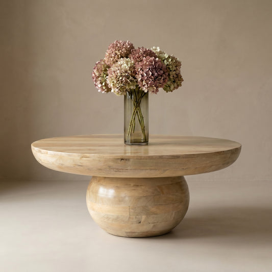 Monexis Coffee Table